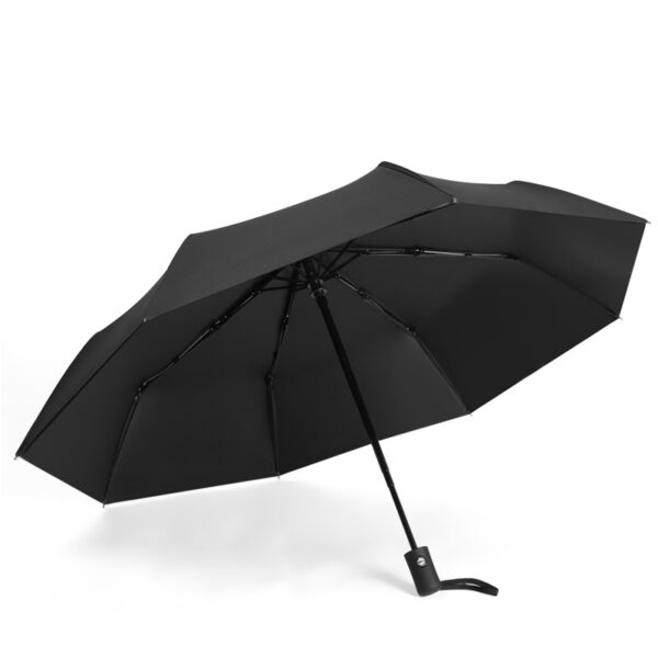 fold umbrella