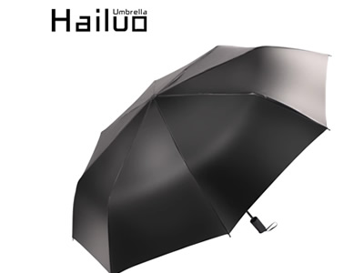 Hailuo Umbrella