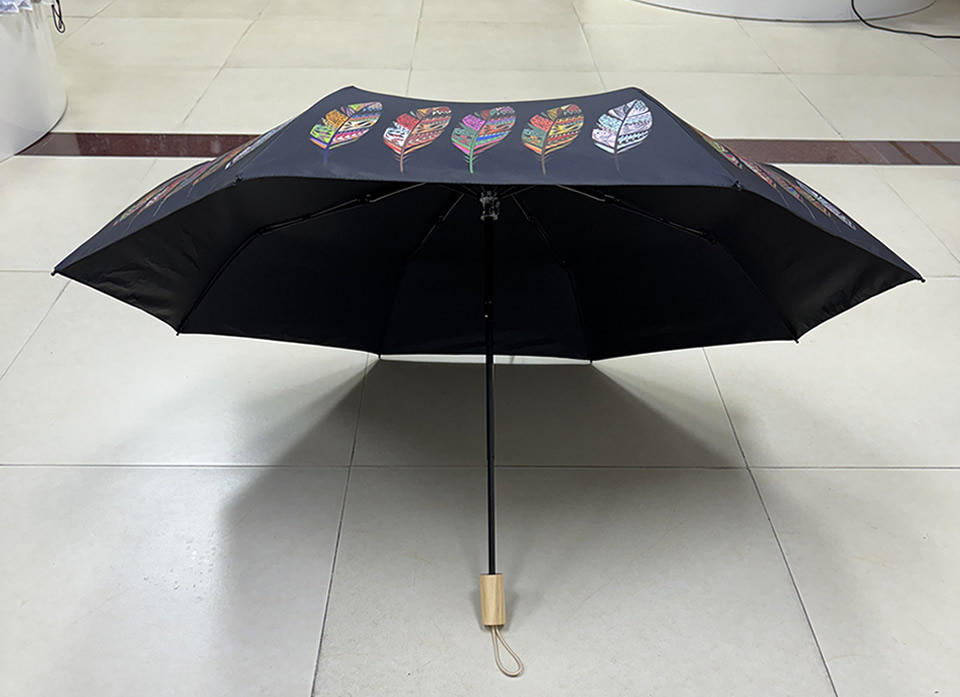 umbrella case