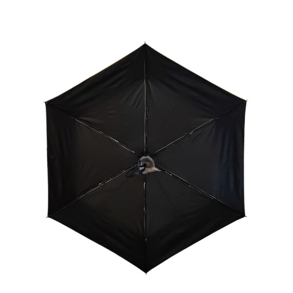 UV protection Umbrella