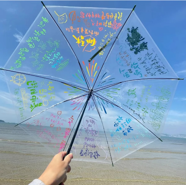 Transparent Umbrella