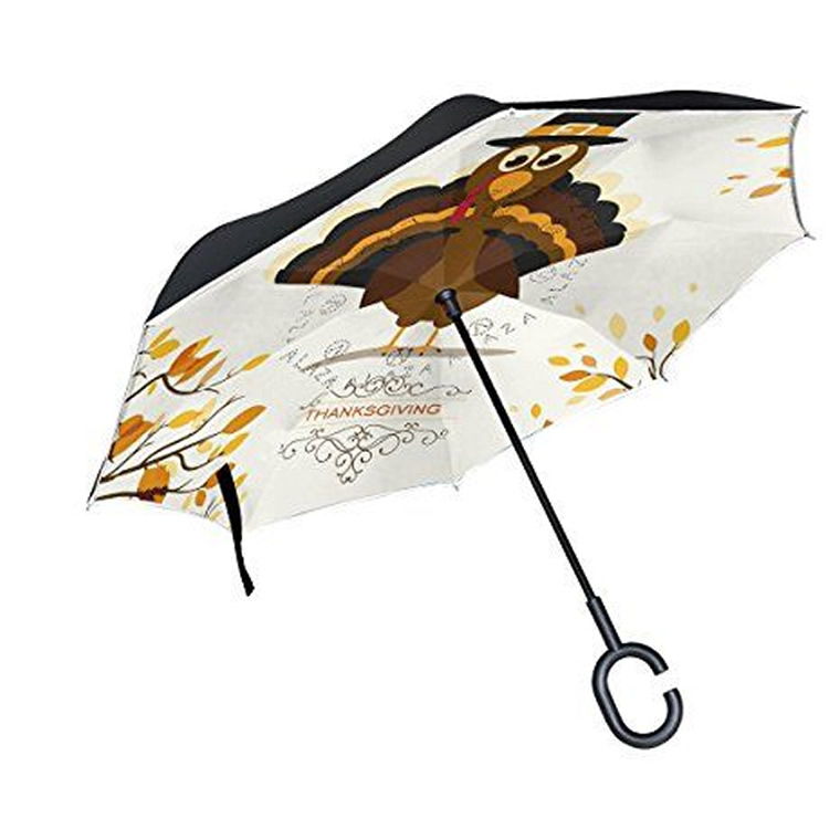 umbrella case